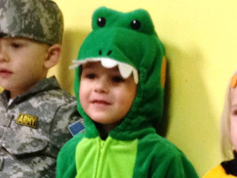aligator