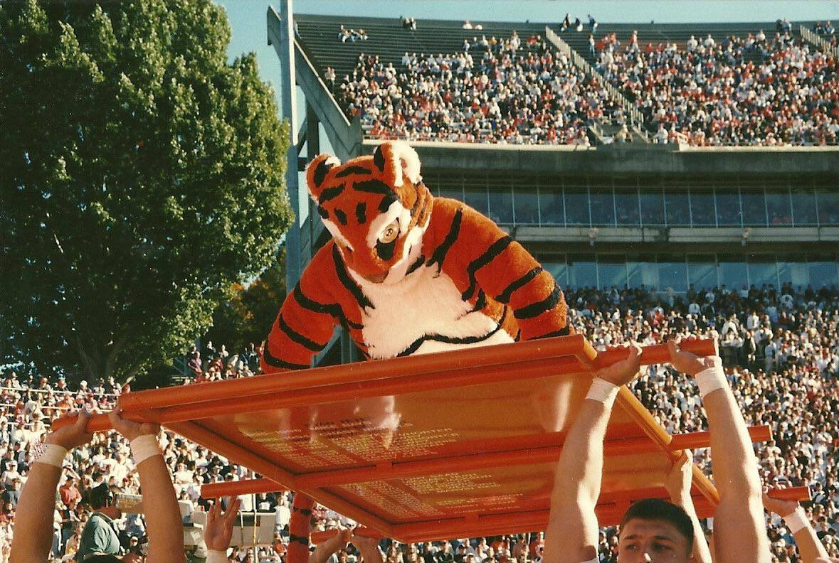 tiger2