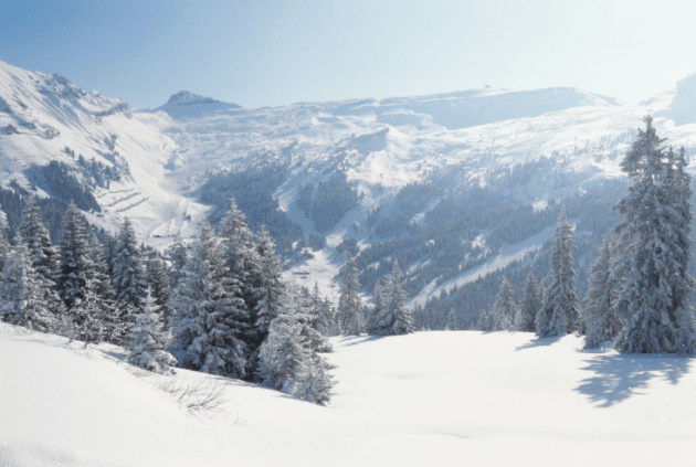 snowinmountains-630x423.png